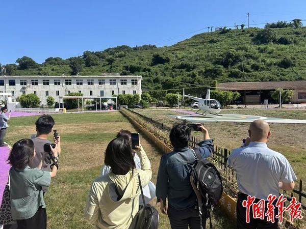 需适配”将释放多少消费潜力PG麻将胡了试玩平台“供(图2)